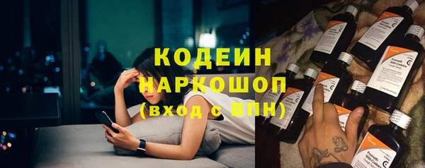 прущие грибы Волосово