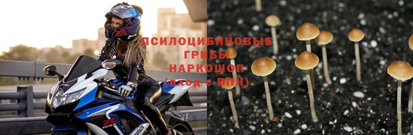 амф Пролетарск