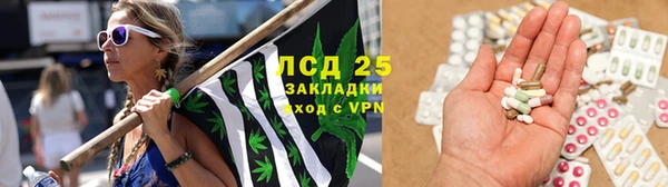 прущие грибы Волосово