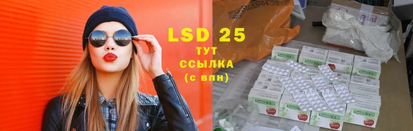 прущие грибы Волосово
