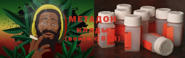 прущие грибы Волосово