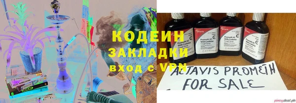 прущие грибы Волосово