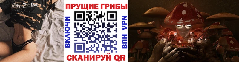 omg зеркало  Камызяк  Галлюциногенные грибы прущие грибы 