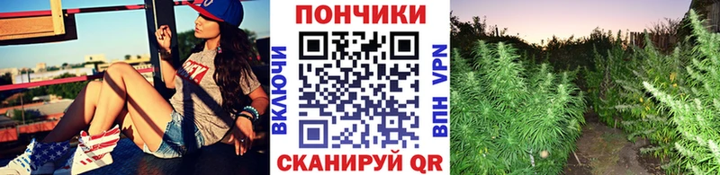 продажа наркотиков  Камызяк  Каннабис Bruce Banner 